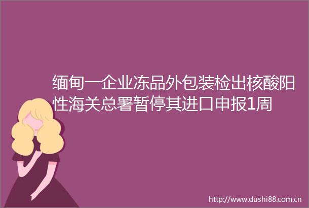 缅甸一企业冻品外包装检出核酸阳性海关总署暂停其进口申报1周