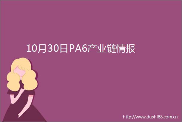 10月30日PA6产业链情报