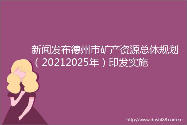 新闻发布德州市矿产资源总体规划（20212025年）印发实施权威解读来了