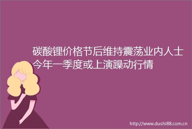碳酸锂价格节后维持震荡业内人士今年一季度或上演躁动行情