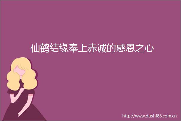 仙鹤结缘奉上赤诚的感恩之心