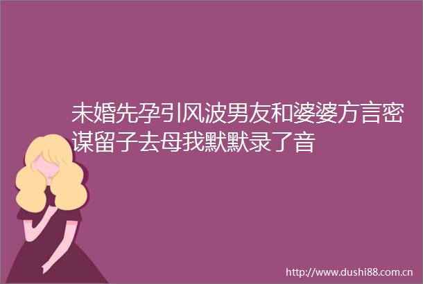 未婚先孕引风波男友和婆婆方言密谋留子去母我默默录了音