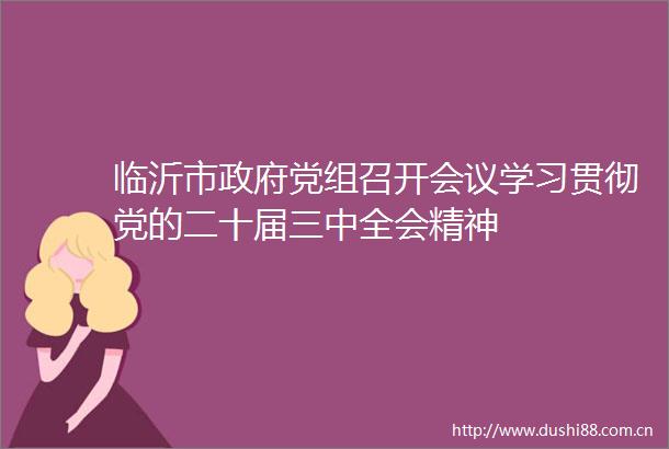 临沂市党组召开会议学习贯彻党的二十届三中全会精神