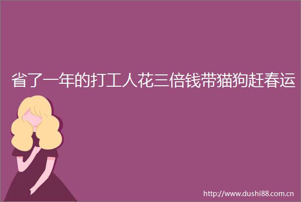 省了一年的打工人花三倍钱带猫狗赶春运