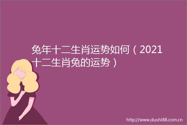 兔年十二生肖运势如何（2021十二生肖兔的运势）