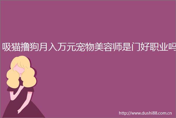 吸猫撸狗月入万元宠物美容师是门好职业吗