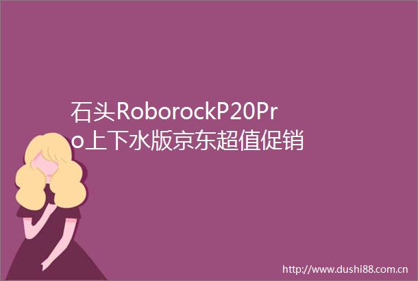 石头RoborockP20Pro上下水版京东超值促销