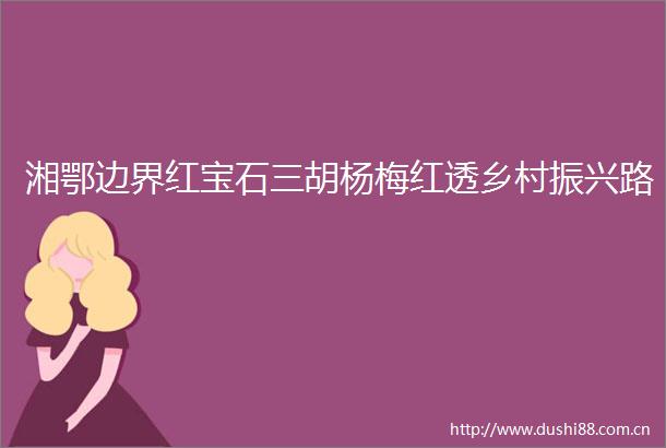 湘鄂边界红宝石三胡杨梅红透乡村振兴路