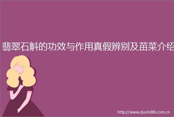 翡翠石斛的功效与作用真假辨别及苗菜介绍