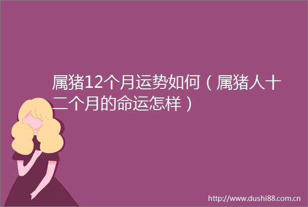 属猪12个月运势如何（属猪人十二个月的命运怎样）