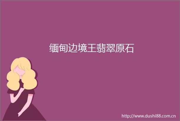 缅甸边境王翡翠原石