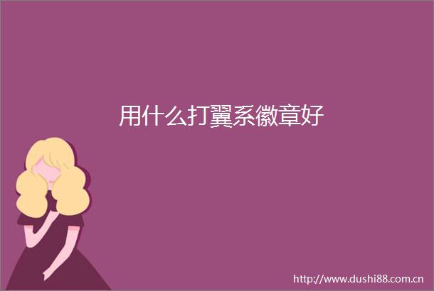 用什么打翼系徽章好