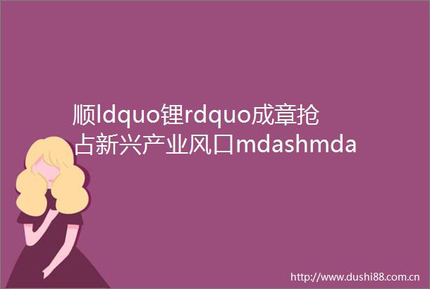 顺ldquo锂rdquo成章抢占新兴产业风口mdashmdash来自衢州智造新城的报道之一