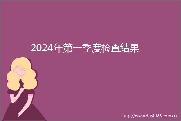 2024年第一季度检查结果
