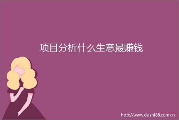 项目分析什么生意最赚钱