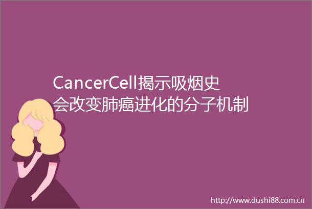 CancerCell揭示吸烟史会改变肺癌进化的分子机制