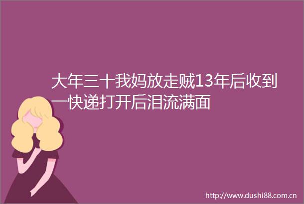 大年三十我妈放走贼13年后收到一快递打开后泪流满面
