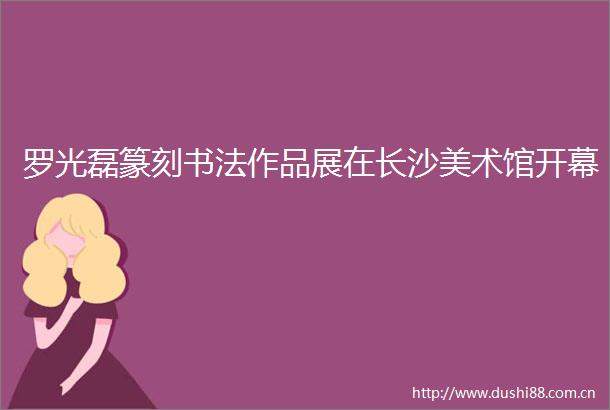 罗光磊篆刻书法作品展在长沙美术馆开幕