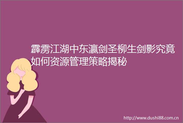 霹雳江湖中东瀛剑圣柳生剑影究竟如何资源管理策略揭秘