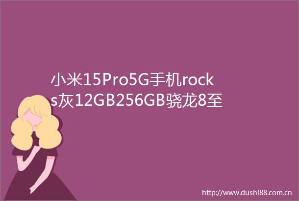 小米15Pro5G手机rocks灰12GB256GB骁龙8至尊版