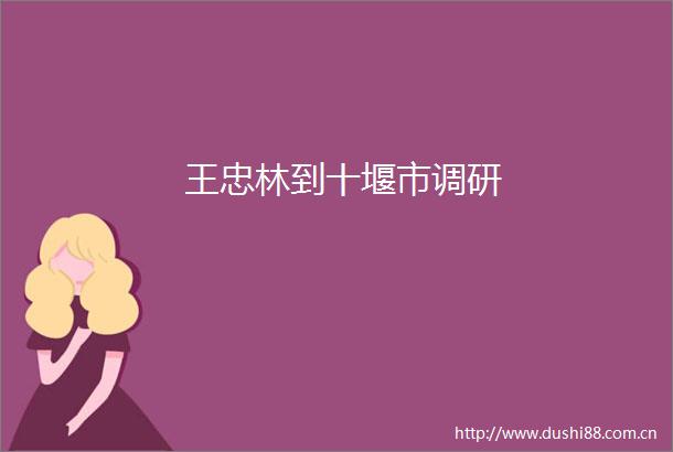 王忠林到十堰市调研