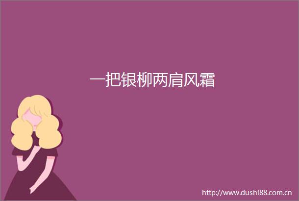 一把银柳两肩风霜