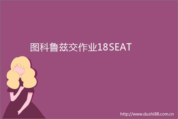图科鲁兹交作业18SEAT