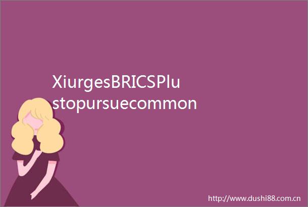 XiurgesBRICSPlustopursuecommonsecurityanddevelopmentharmonyamongcivilizations