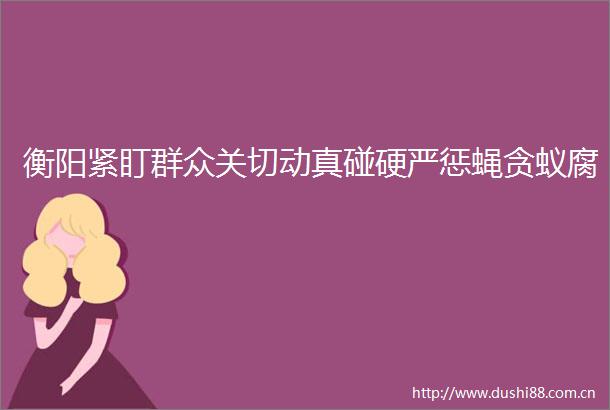 衡阳紧盯群众关切动真碰硬严惩蝇贪蚁腐