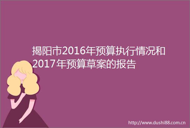 揭阳市2016年预算执行情况和2017年预算草案的报告