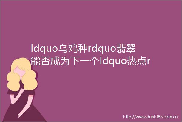 ldquo乌鸡种rdquo翡翠能否成为下一个ldquo热点rdquo