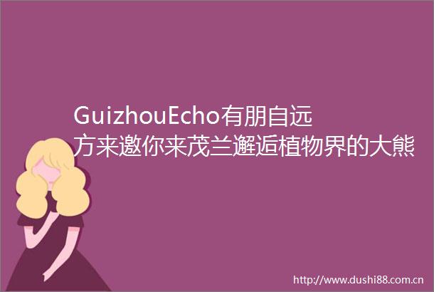 GuizhouEcho有朋自远方来邀你来茂兰邂逅植物界的大熊猫再看看地球腰带上的绿宝石到底什么样