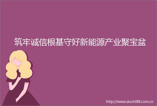 筑牢诚信根基守好新能源产业聚宝盆