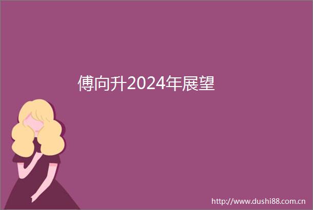 傅向升2024年展望