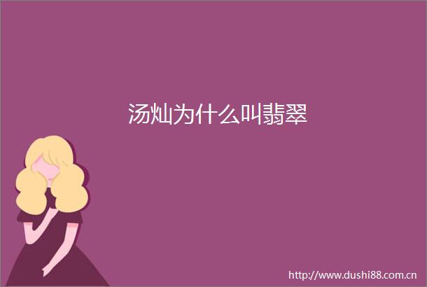 汤灿为什么叫翡翠