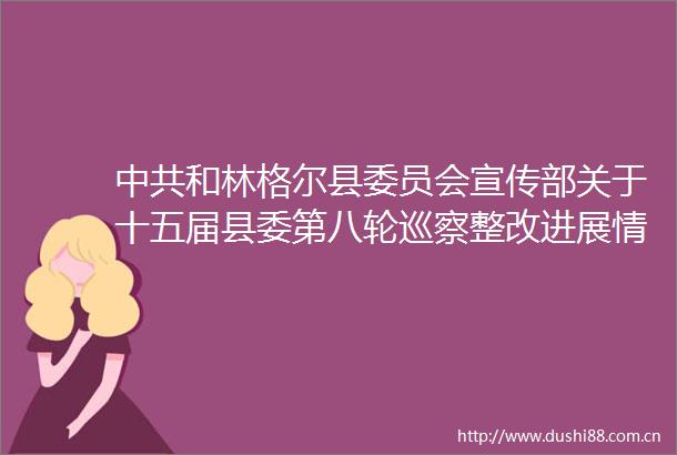 和林格尔县委员会宣传部关于十五届县委第八轮巡察整改进展情况的通报（社会公开稿）