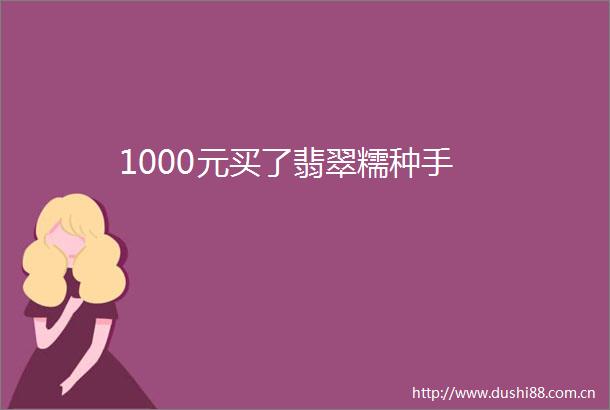 1000元买了翡翠糯种手
