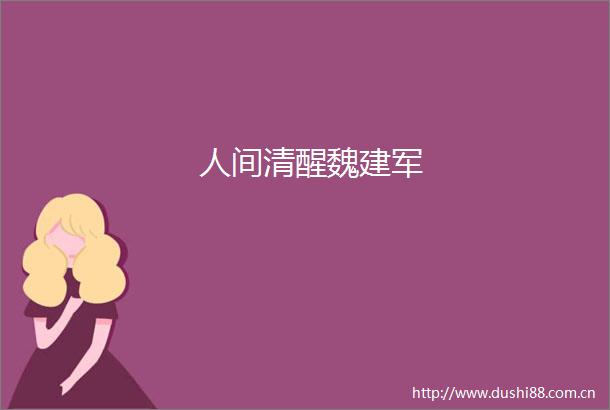 人间清醒魏建军