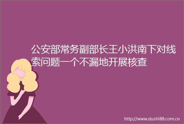 部常务副部长王小洪南下对线索问题一个不漏地开展核查