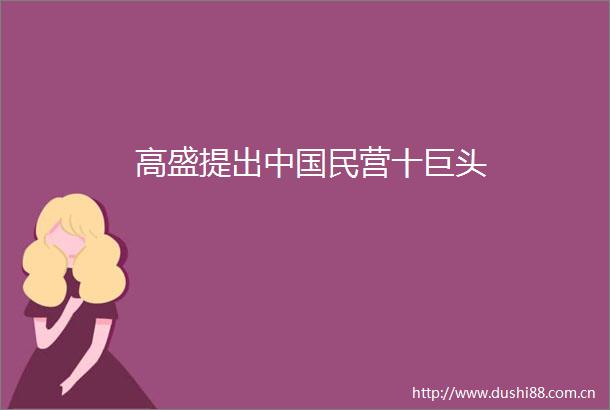 高盛提出民营十巨头