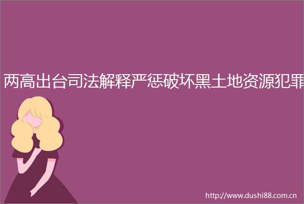 两高出台司法解释严惩破坏黑土地资源