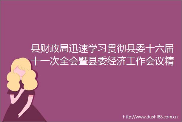 县财迅速学习贯彻县委十六届十一次全会暨县委经济工作会议精神