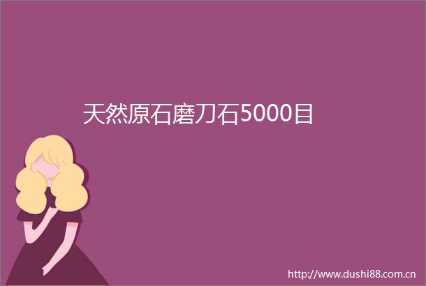 天然原石磨刀石5000目