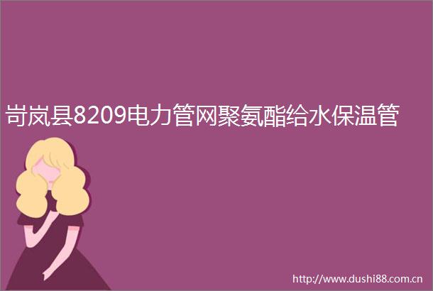 岢岚县8209电力管网聚氨酯给水保温管