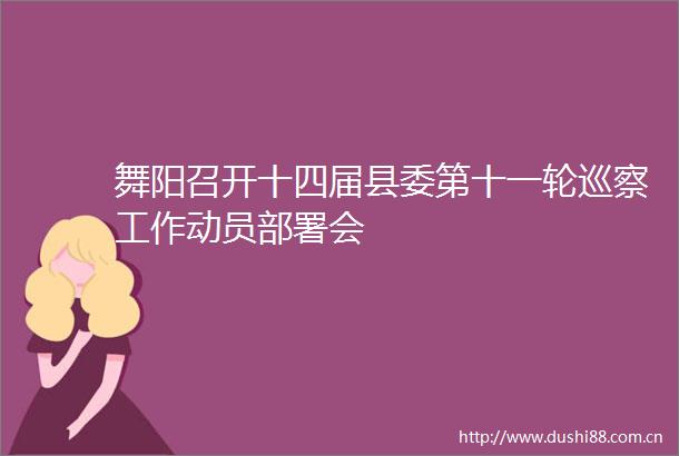 舞阳召开十四届县委第十一轮巡察工作动员部署会