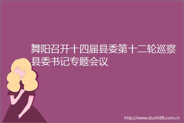 舞阳召开十四届县委第十二轮巡察县委书记专题会议