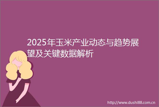 2025年玉米产业动态与趋势展望及关键数据解析