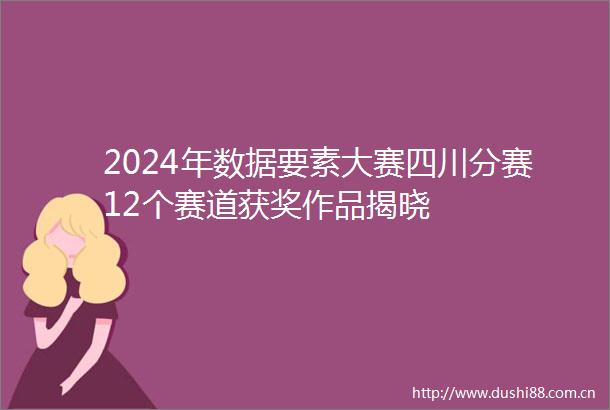 2024年数据要素大赛四川分赛12个赛道获奖作品揭晓
