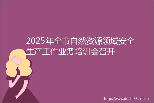 2025年全市自然资源领域安全生产工作业务培训会召开