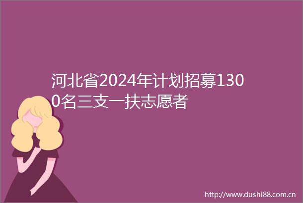河北省2024年计划招募1300名三支一扶志愿者